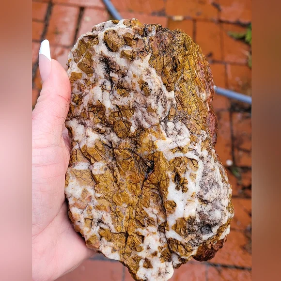 Natural Orange Red Purple Jasper Lapidary Rough Rock